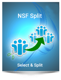 nsf split box